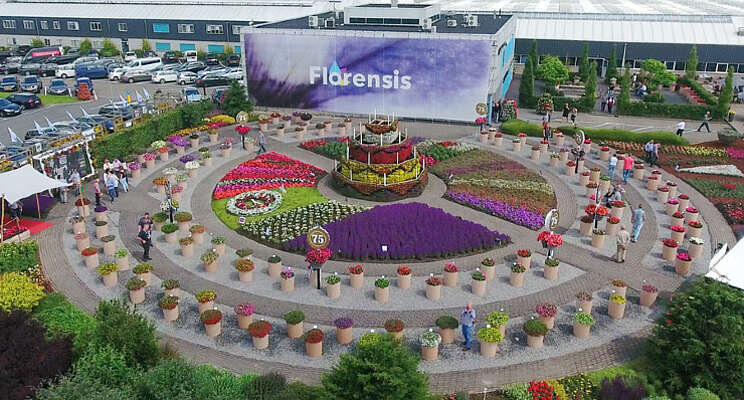 Florensis optimaliseert kasplanning Florensis optimaliseert kasplanning