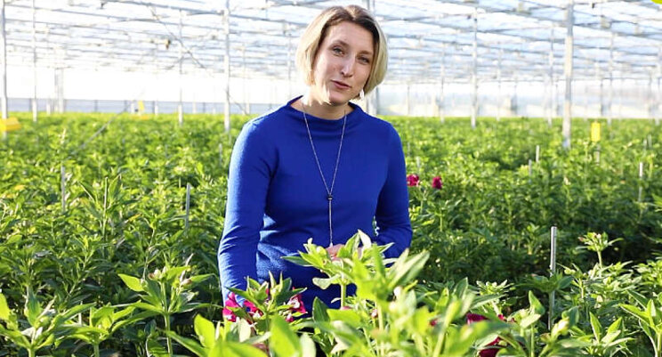 Hoes van 100% gerecycled plastic blijkt succes Hoes van 100% gerecycled plastic blijkt succes