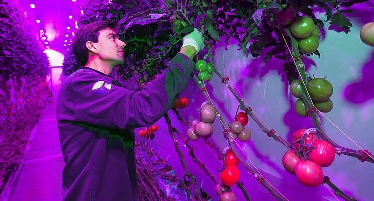 PlantLab over kwestie: 'Patenttraject krijgt vervolg' PlantLab over kwestie: 'Patenttraject krijgt vervolg'