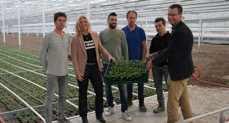 U GRAND start met planten in nieuwe kas U GRAND start met planten in nieuwe kas