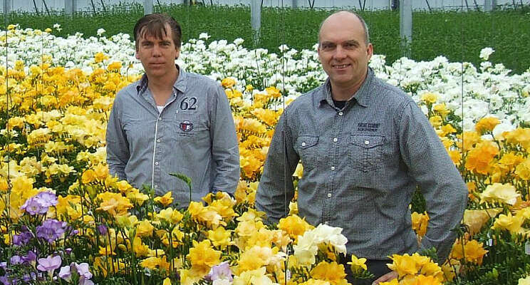 Nuttige inzet freesia-afval Nuttige inzet freesia-afval