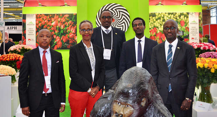 Rwanda vergroot markt via Nederlandse florahub Rwanda vergroot markt via Nederlandse florahub