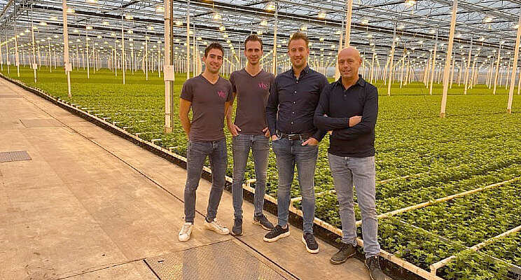 Van Helvoort neemt chrysantenkwekerij over Van Helvoort neemt chrysantenkwekerij over