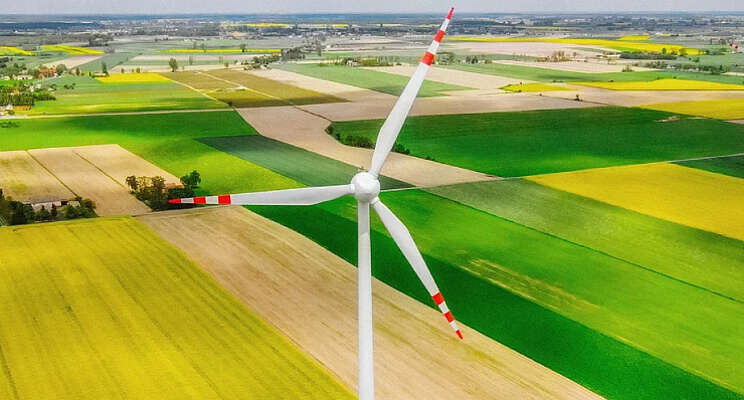 Dutch Flower Group stapt over op windenergie Dutch Flower Group stapt over op windenergie