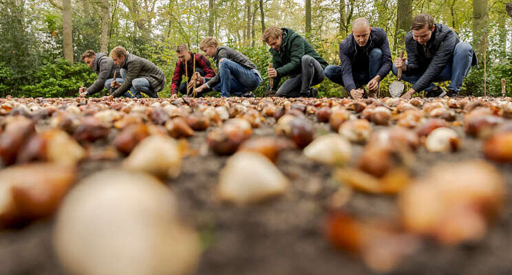 Eigen tuin in Keukenhof voor 'Bollenjongens' Eigen tuin in Keukenhof voor 'Bollenjongens'