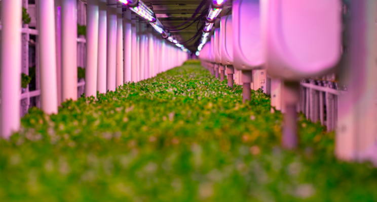 Vertical Farming Wednesday... Nieuw design, footprint omlaag? Vertical Farming Wednesday... Nieuw design, footprint omlaag?
