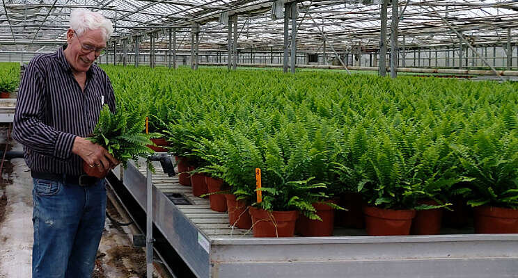 Varenproducent versnelt productie met Growcoon Varenproducent versnelt productie met Growcoon