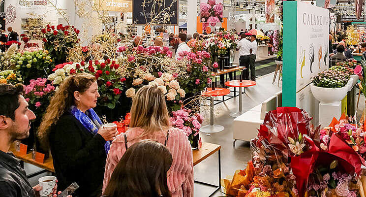 IFTF voorbereid op nieuwe maatregelen IFTF voorbereid op nieuwe maatregelen