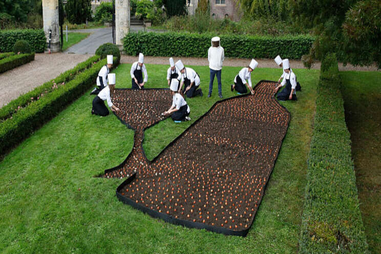 Bourgondisch bloembollen planten Bourgondisch bloembollen planten