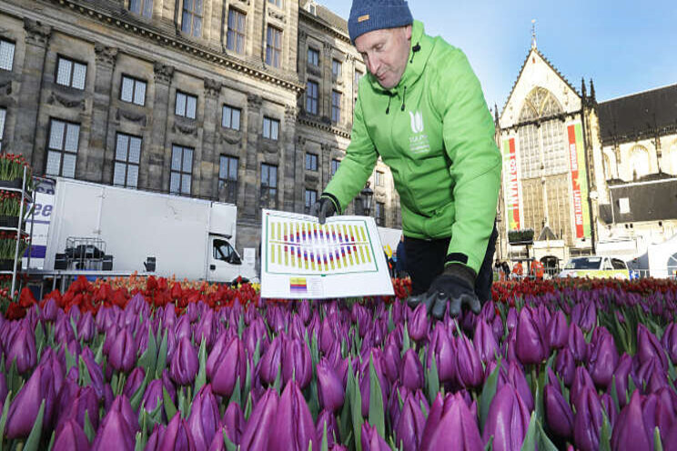 Aftrap tulpenseizoen weer op de Dam Aftrap tulpenseizoen weer op de Dam