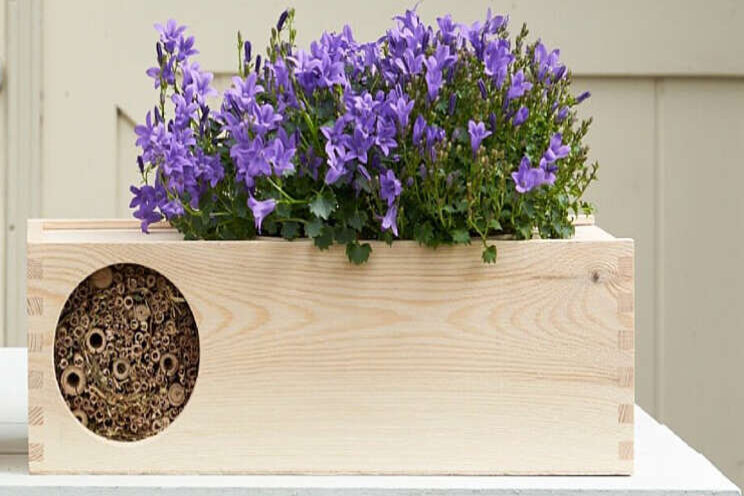Addenda lanceert 'Blooming Bee&B' Addenda lanceert 'Blooming Bee&B'