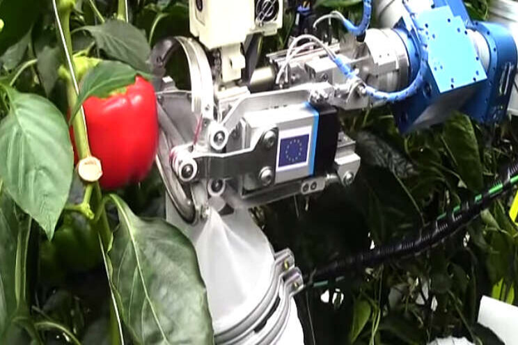 Video: Tuinbouwrobots