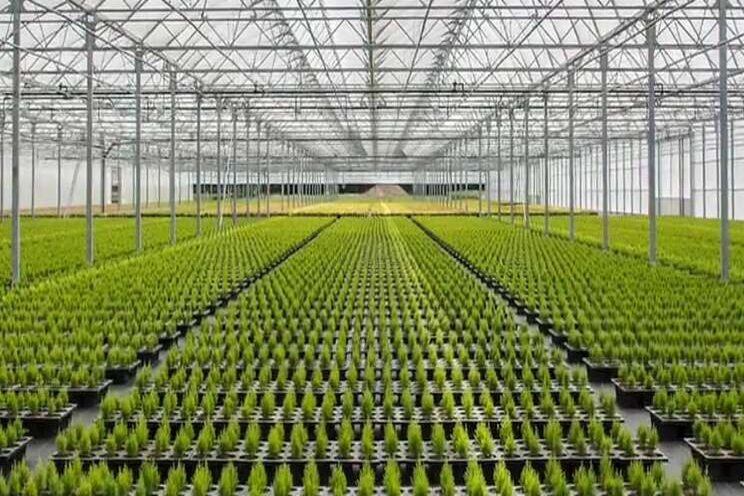 FM Group gaat inkoop doen voor The Plant Team FM Group gaat inkoop doen voor The Plant Team