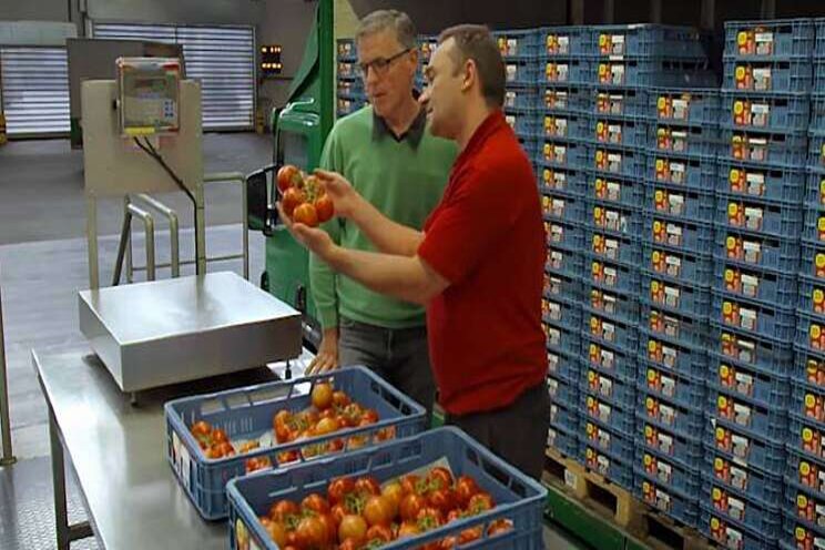 Prijs voor Belgische veiling Prijs voor Belgische veiling