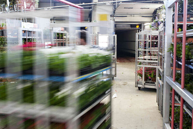 Leer inkopen bij Plantion Leer inkopen bij Plantion