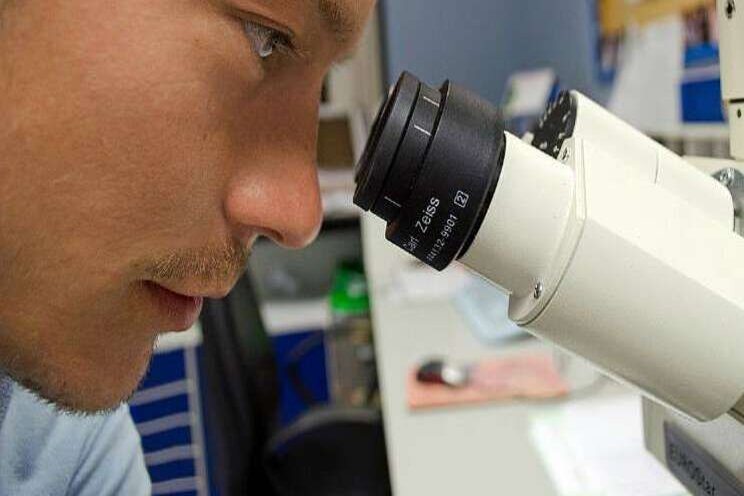 Slotevent BioBoost via webinar op 7 oktober Slotevent BioBoost via webinar op 7 oktober