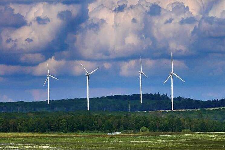 Rol bio-energie in halen klimaatdoelen is beperkt Rol bio-energie in halen klimaatdoelen is beperkt