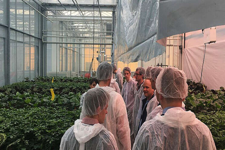 Onderzoek klimaatneutrale teelt van groene planten Onderzoek klimaatneutrale teelt van groene planten
