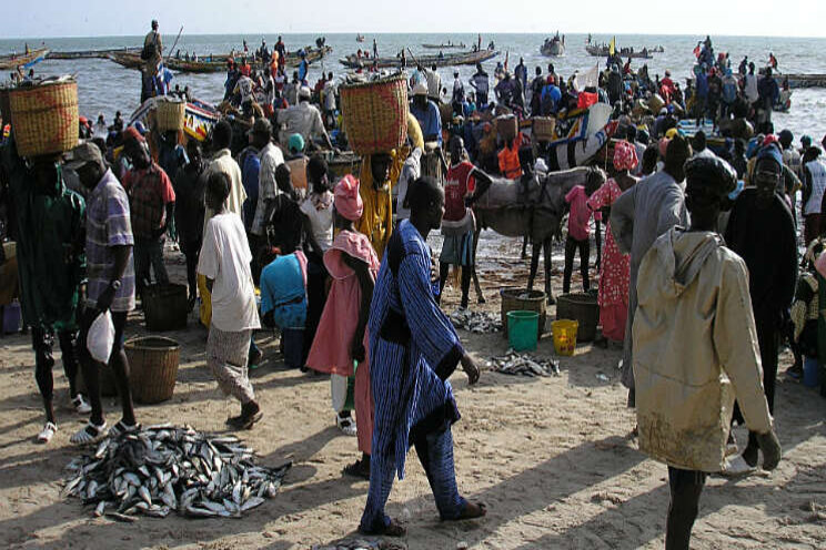 Voedingstuinbouw Senegal zoekt Nederlandse kennis